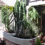 Mit Kleiner Innenhof-terrasse Im Mediterranen Stil شقة إيكود ذي لوس فينوس