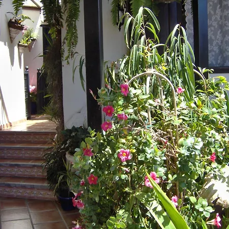 Mit Kleiner Innenhof-terrasse Im Mediterranen Stil شقة إيكود ذي لوس فينوس